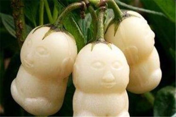十大极品混沌灵根(混沌十大灵根排行榜)