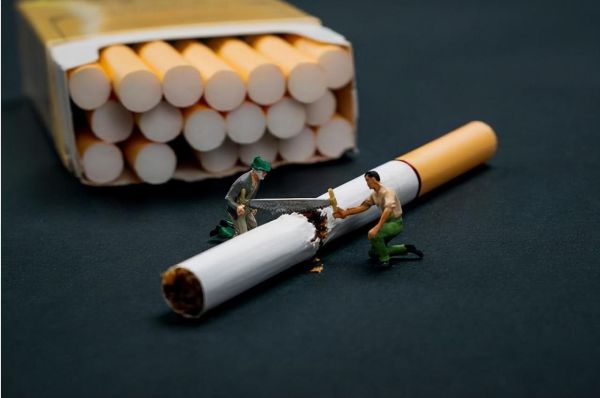 软中华和硬中华有什么区别，为什么软中华比硬中华卖的贵