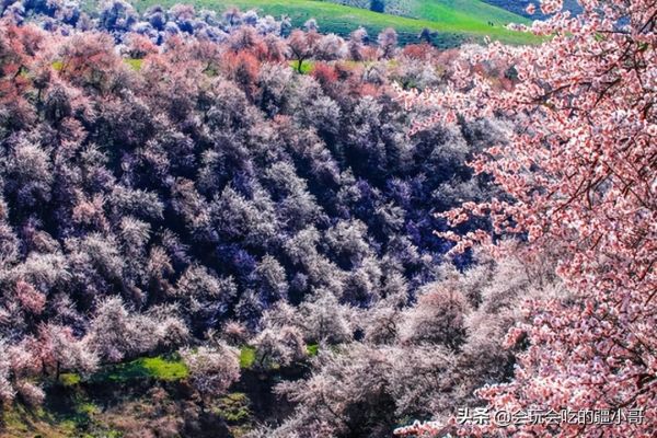 新疆旅游必去十大景点,10处“天下第一”景点