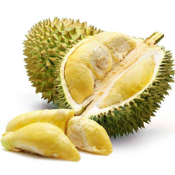 榴莲品种十大排名（介绍榴莲的15个品种）
