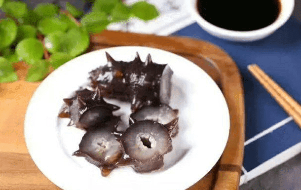 海参的十大功效（海参的十大滋补功效盘点）