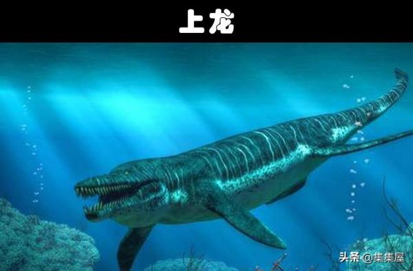 史前最危险的十大巨兽，这10个生物比巨齿鲨还可怕