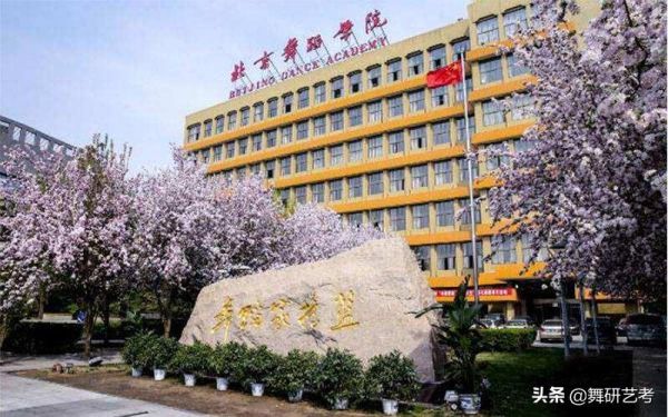 十大舞蹈学院排名，2022年舞蹈专业大学最新排名