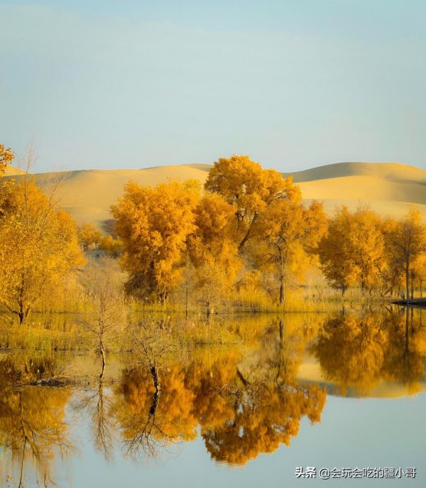 新疆旅游必去十大景点,10处“天下第一”景点