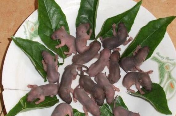 中国十大禁菜，让人感觉残忍血腥的10道菜