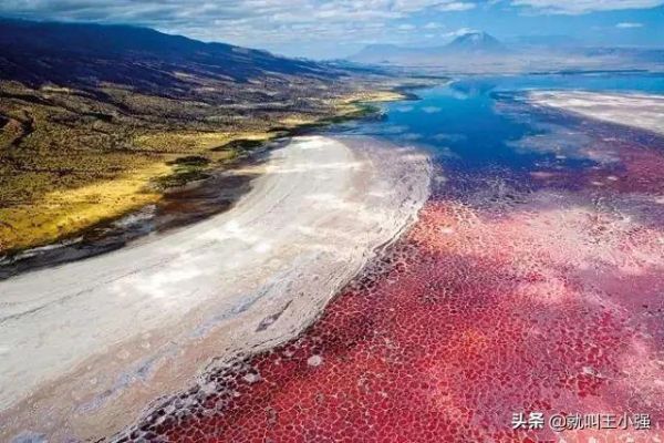 世界十大禁地排行榜	，世界上10个人类禁地