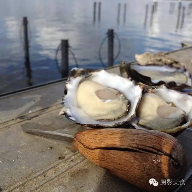 世界十大顶级生蚝（世界十大生蚝排名）