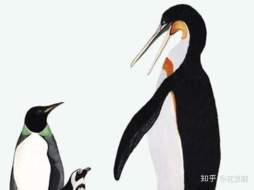 地球史前十大巨兽（盘点十大史前巨兽）