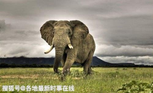 世界十大恐怖实验(历史上十个最危险、最可怕的实验)