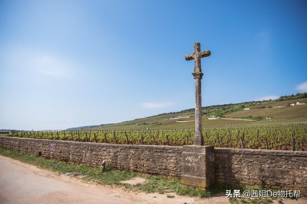 世界十大品牌红酒（世界著名红酒品牌排行）