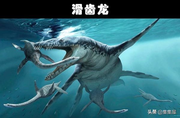 史前最危险的十大巨兽，这10个生物比巨齿鲨还可怕