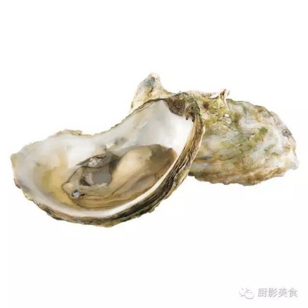 世界十大顶级生蚝（世界十大生蚝排名）
