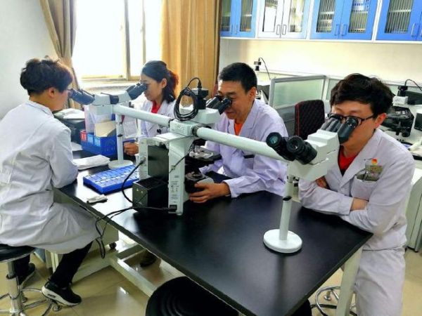 含金量最高的十大证书，前五个从业必需，后五个考上年薪几十万