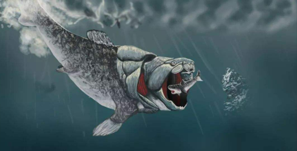海洋十大霸主排名，海洋10大霸主排行榜