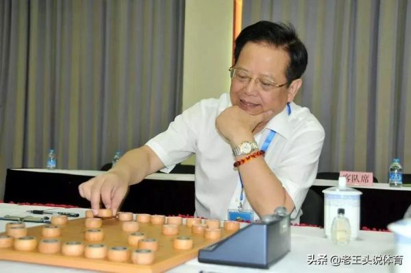 中国象棋十大高手排名(中国象棋的十大顶尖高手)