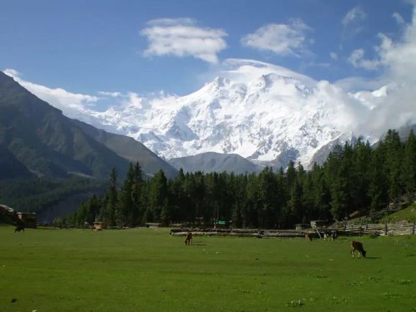 世界上最高的十大山峰（世界上最高的山峰排名前十）