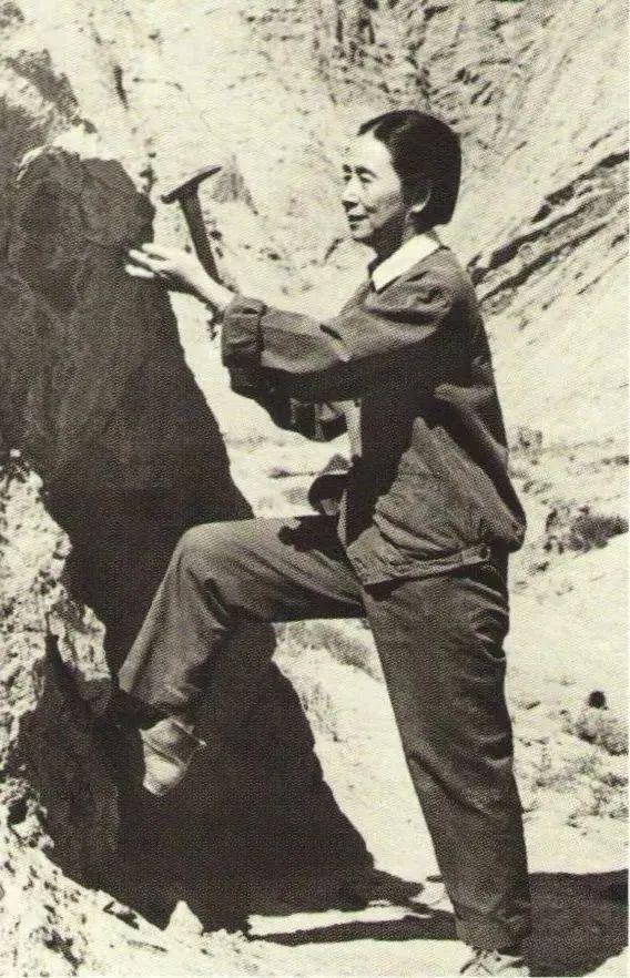 中国十大“最美女明星”，能写进教科书的女英雄