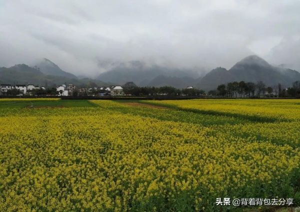 安徽必去十大旅游景点(安徽十大著名景点推荐) 安徽必去十大旅游景点(安徽十大著名景点推荐)