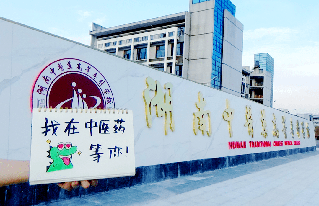 2022湖南十大排名职业学校(湖南师资最强的10所专科院校)