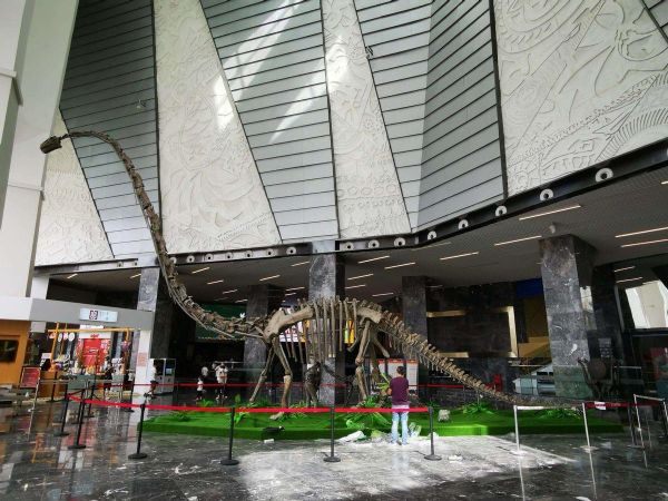 史前十大巨兽排名，曾称霸地球的10种史前巨兽