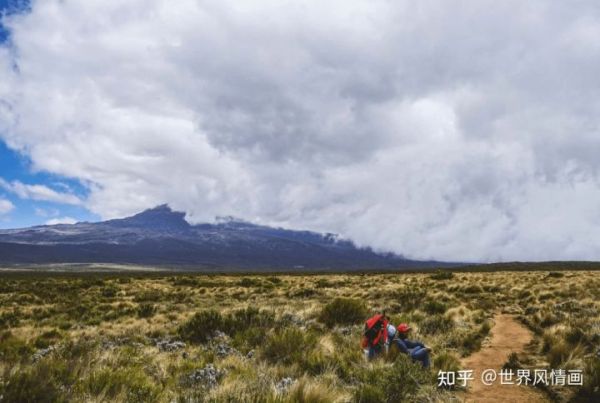 全球最贵的十大甜品（世界甜品排行榜前十名）