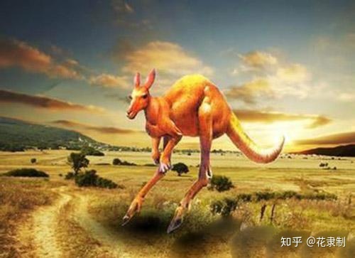 地球史前十大巨兽（盘点十大史前巨兽）