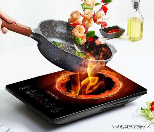 电磁炉十大排名（2022国产十大电磁炉品牌前十名）
