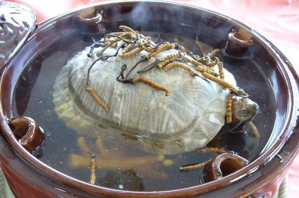 中国十大禁菜，让人感觉残忍血腥的10道菜