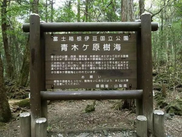 世界上十大闹鬼最凶的地方，十大真实闹鬼事件