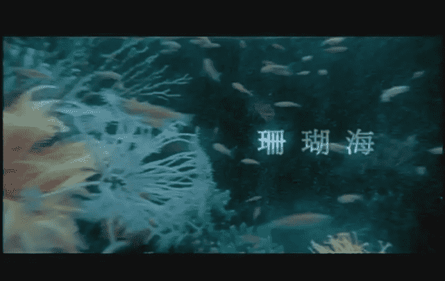 周杰伦十大金曲(周杰伦最火的十首金曲)