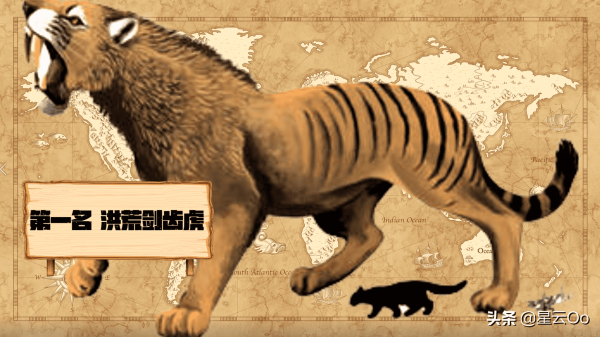 史前十大猫科动物（历史上10种最大的猫科动物）