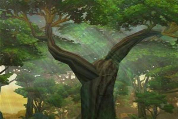 十大极品混沌灵根(混沌十大灵根排行榜)