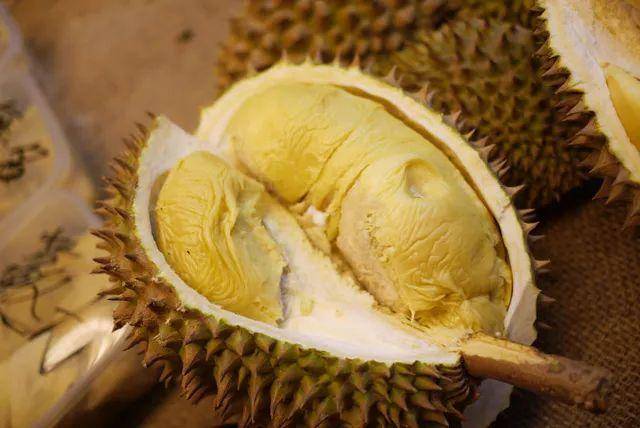 榴莲品种十大排名（介绍榴莲的15个品种）