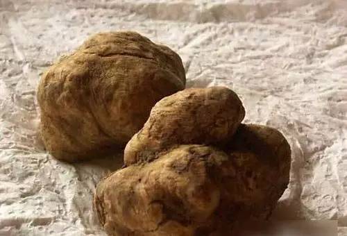 世界上最贵的十大食物（世界上最昂贵的10种食物）