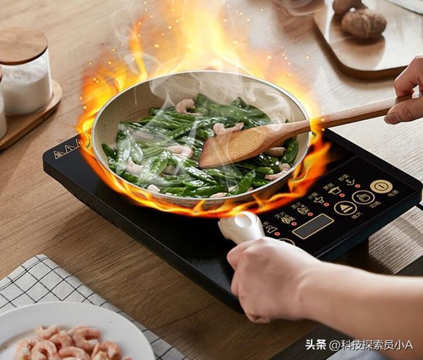 电磁炉十大排名（2022国产十大电磁炉品牌前十名）