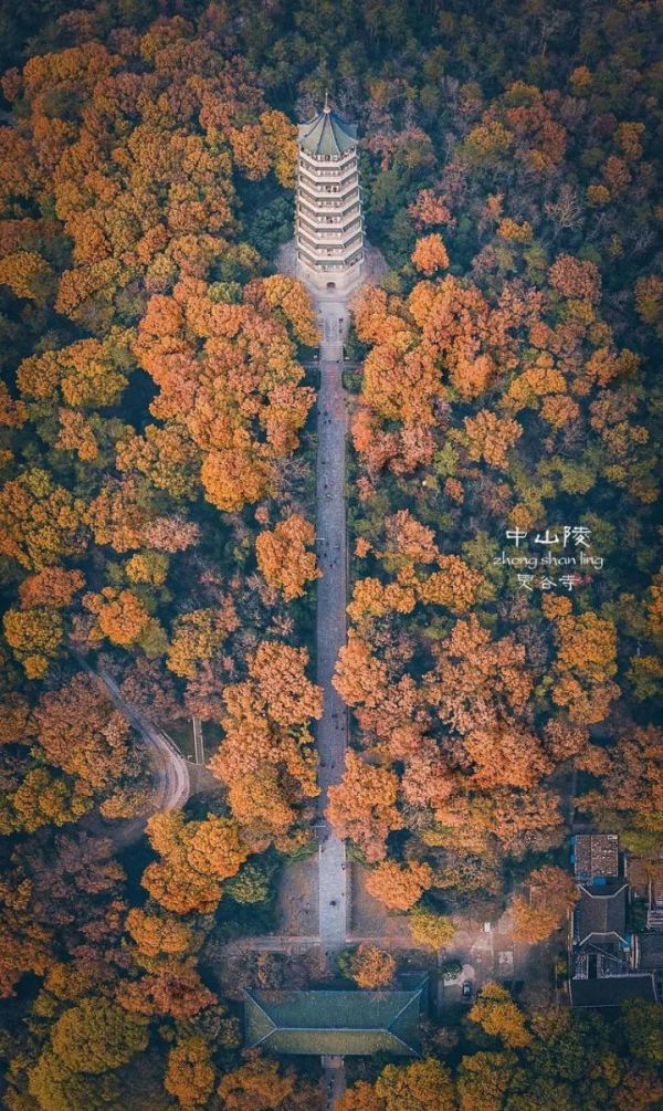 十大江苏必打卡景点(江苏省内旅游景点排行榜)