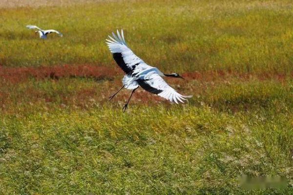 长春十大旅游景点,一定要去的10个打卡胜地 长春十大旅游景点,一定要去的10个打卡胜地