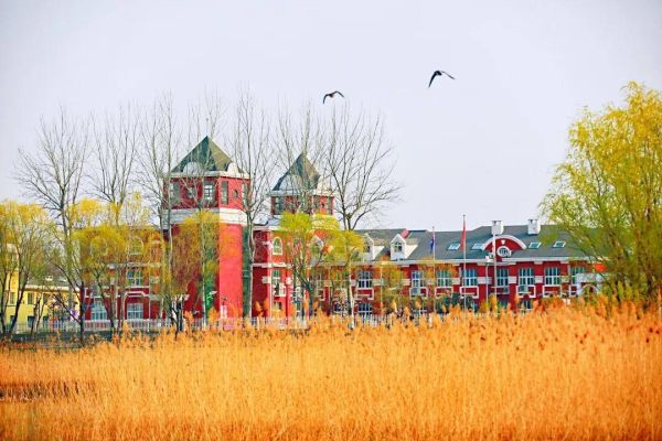 北京十大贵族学校(北京十大最好国际学校)