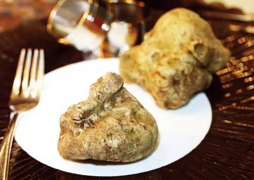 世界上最贵的十大食物（世界上最昂贵的10种食物）