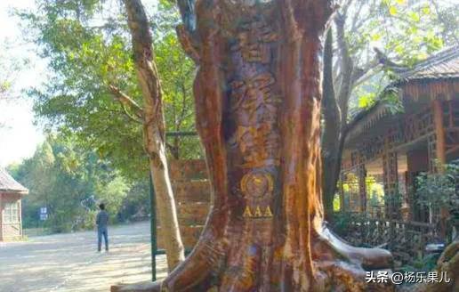 惠州旅游必去十大景点（10个惠城区的好玩的地方推荐）