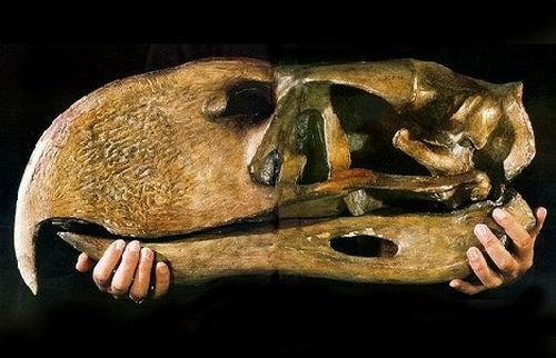 地球史前十大巨兽（盘点十大恐怖史前生物）