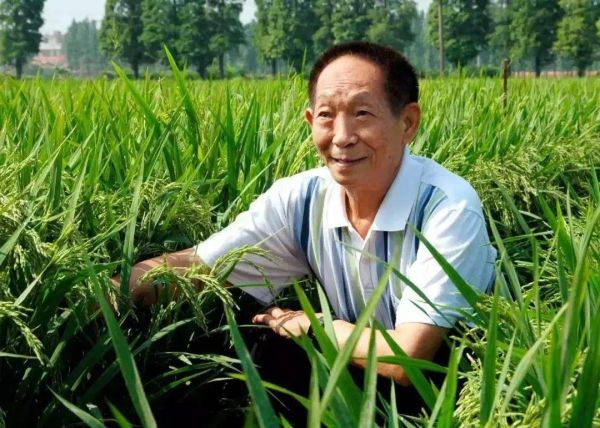 中国十大著名科学家（我国十大国宝级科学家）