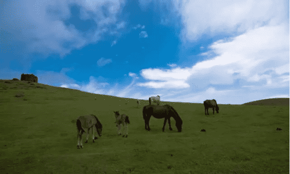 湖南郴州十大旅游景点（10个郴州好玩的地方推荐）