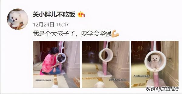 2021鹿晗关晓彤宣布分手，被网爆月底官宣分手