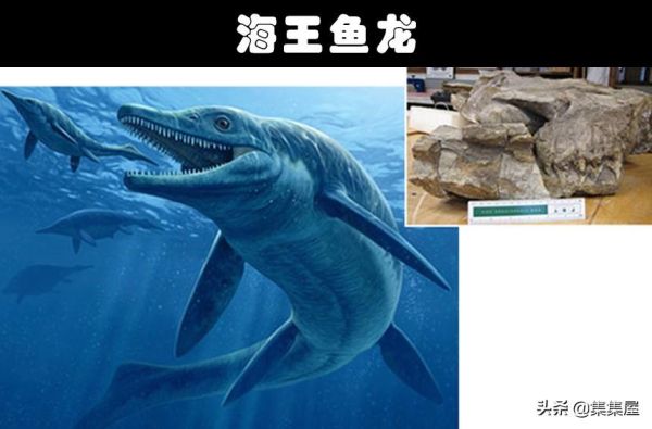 史前最危险的十大巨兽，这10个生物比巨齿鲨还可怕