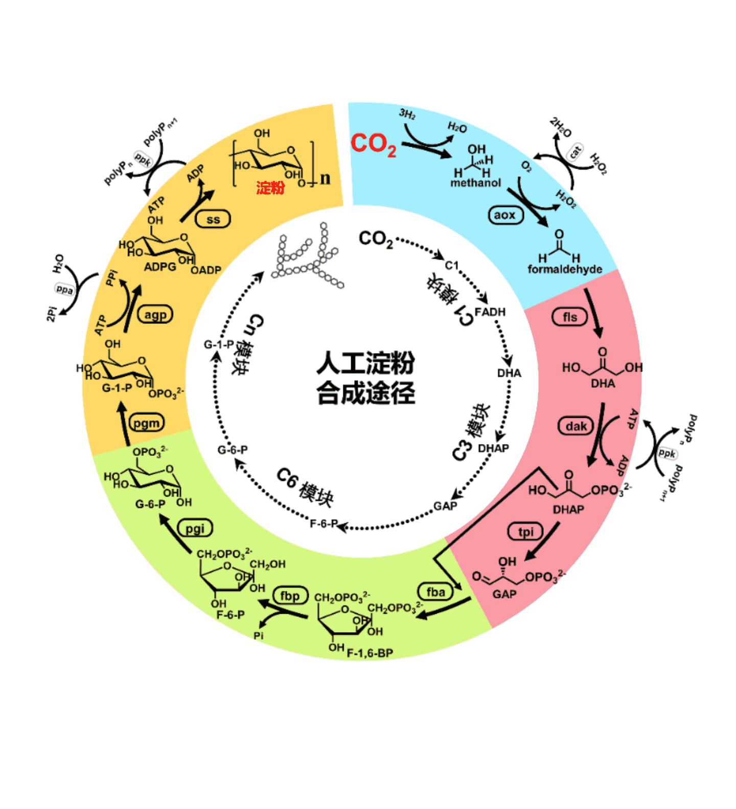 中国科学十大进展是什么？2021年度中国科学十大进展发布