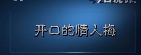 今日说法十大精彩案件（今日说法十大逆天神案）