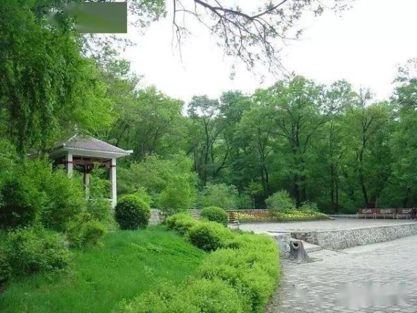 长春十大旅游景点,一定要去的10个打卡胜地 长春十大旅游景点,一定要去的10个打卡胜地