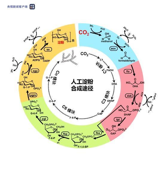 2021年度中国科学十大进展发布