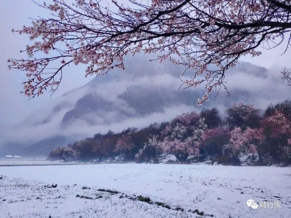 去西藏旅游的最佳时间是几月份，哪个时段风景最好？